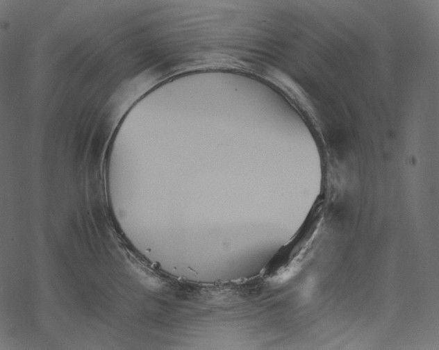 X0000067891242200605041544