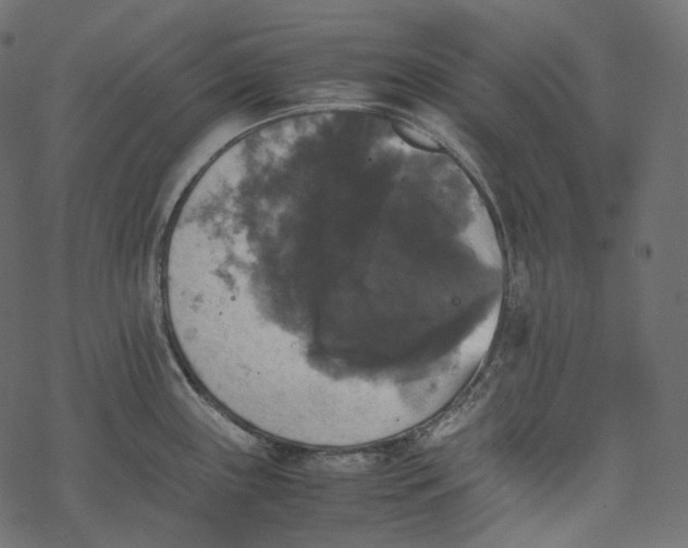 X0000067891243200605041544