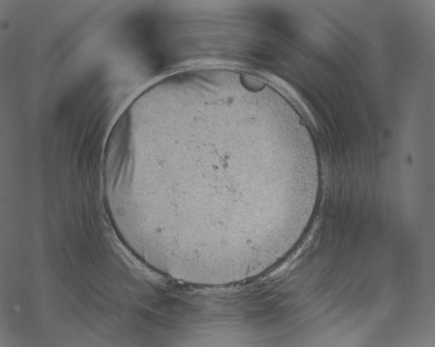 X0000067891244200605041544