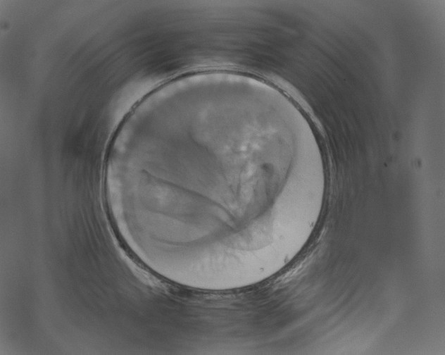 X0000067891245200605041544