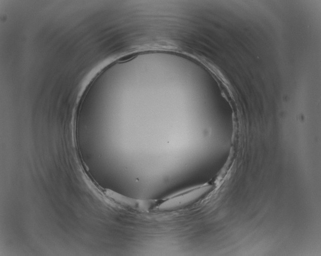 X0000067891246200605041544