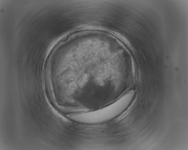 X0000067891247200605041544