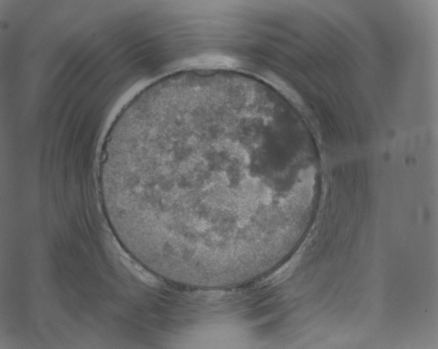 X0000067891248200605041544