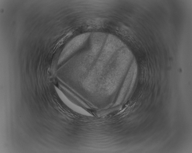 X0000067891250200605041543