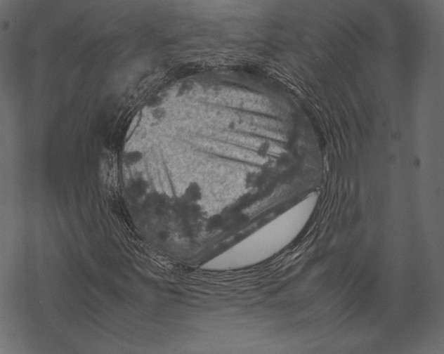 X0000067891251200605041543