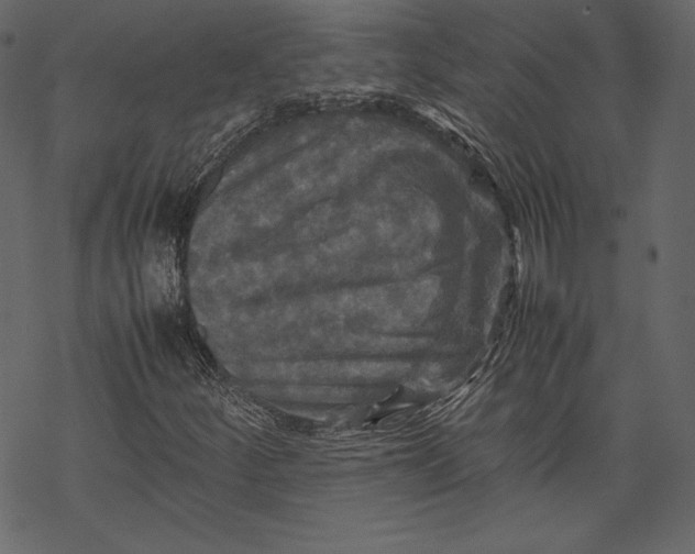 X0000067891252200605041543