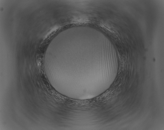 X0000067891254200605041543