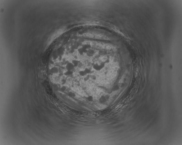 X0000067891255200605041543