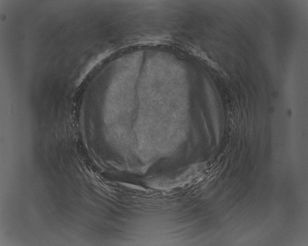 X0000067891256200605041543