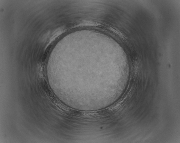 X0000067891258200605041543