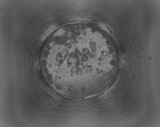 X0000067891259200605041543