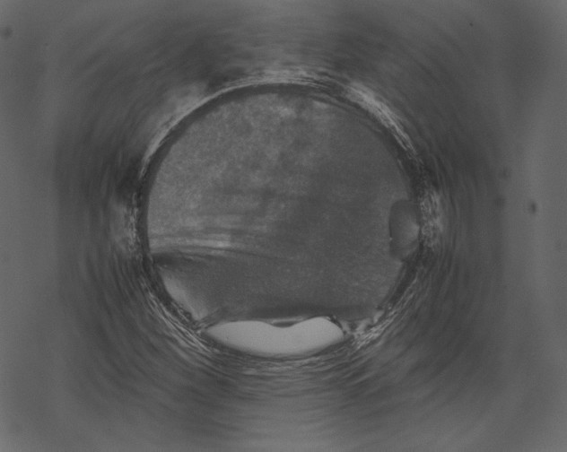 X0000067891260200605041543