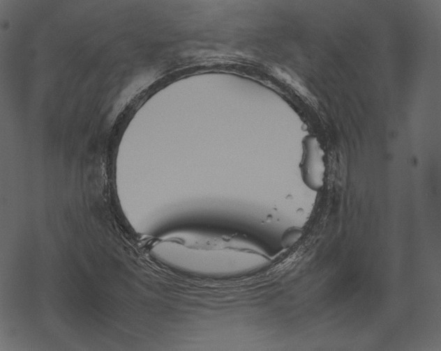 X0000067891261200605041543