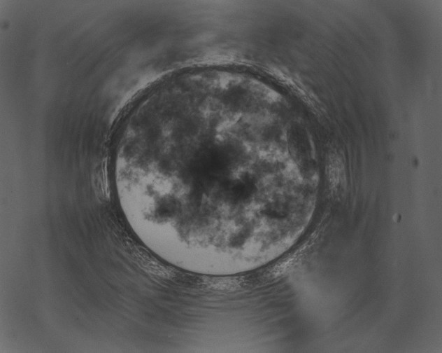 X0000067891262200605041543