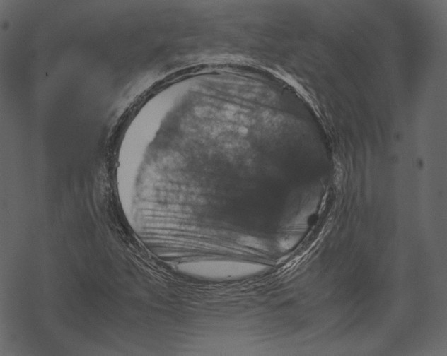 X0000067891263200605041543