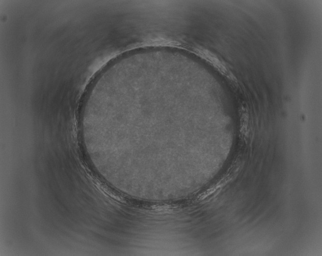 X0000067891264200605041543