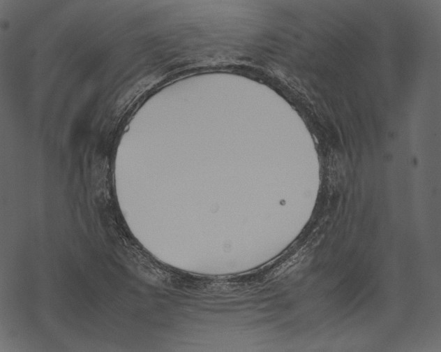 X0000067891265200605041543