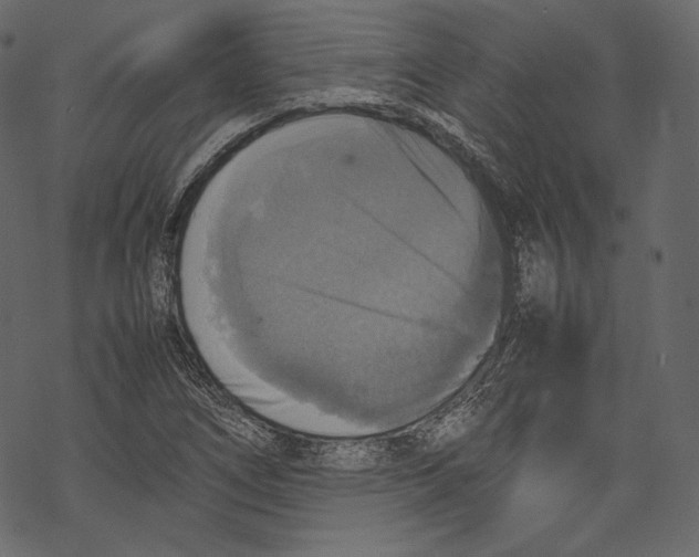 X0000067891266200605041543