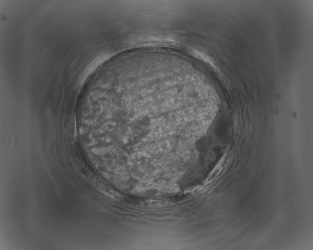 X0000067891267200605041543