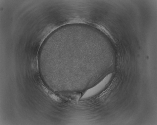 X0000067891268200605041543