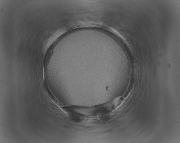 X0000067891269200605041543