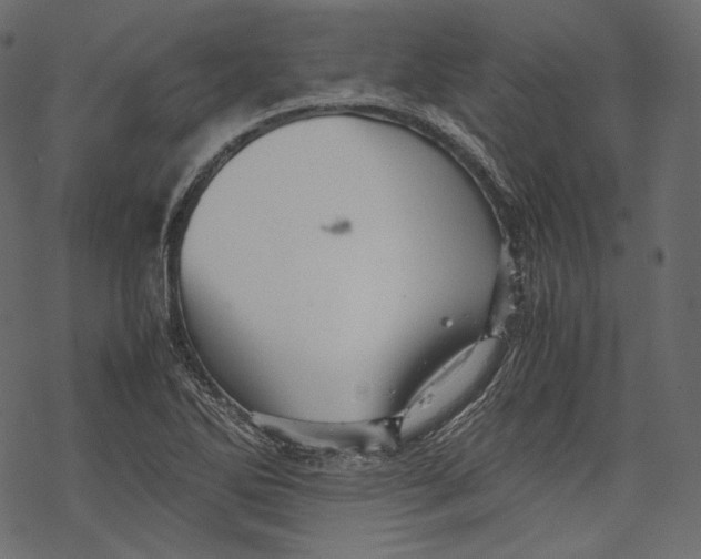 X0000067891270200605041543