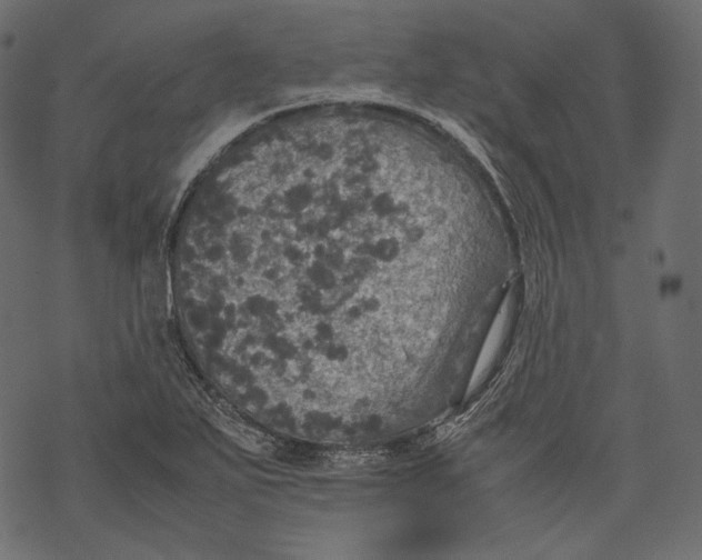 X0000067891271200605041543