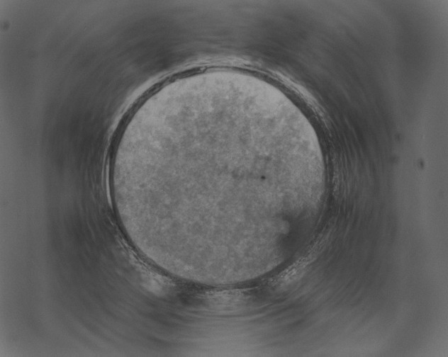 X0000067891272200605041543