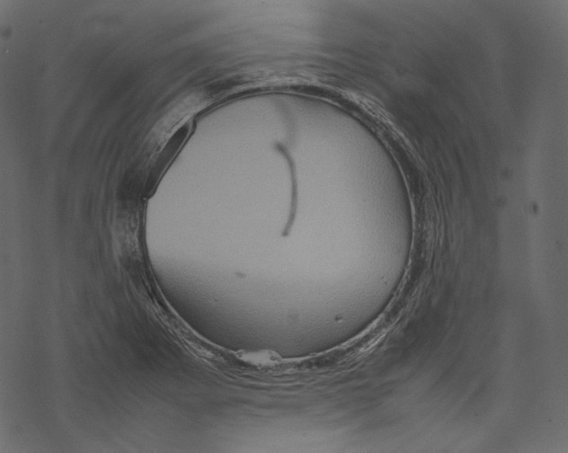 X0000067891273200605041543