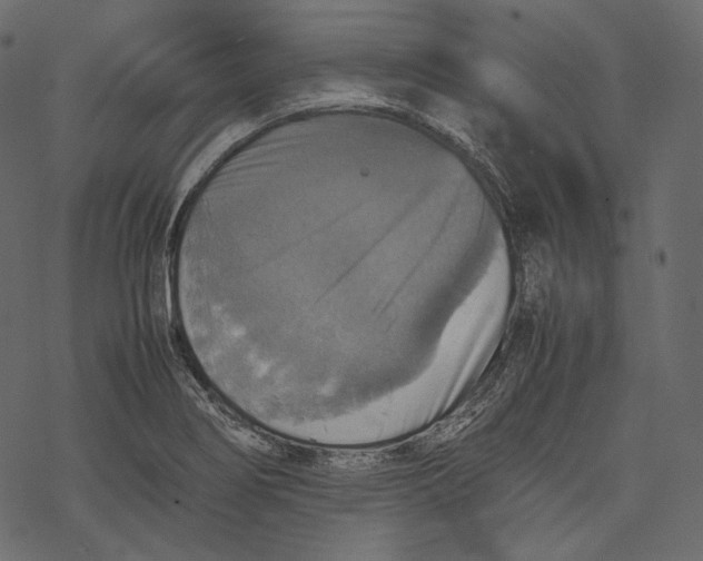 X0000067891274200605041543