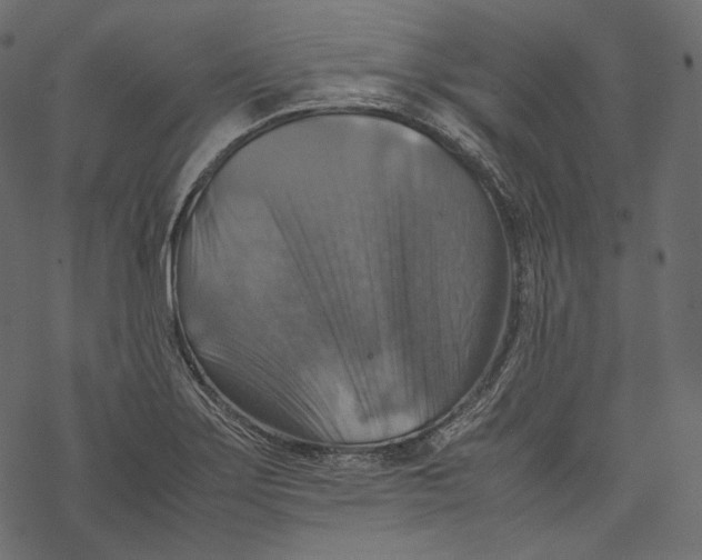 X0000067891275200605041543