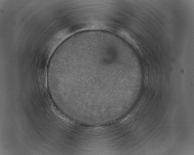 X0000067891276200605041543