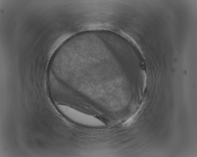 X0000067891277200605041543