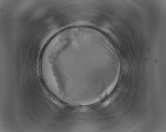 X0000067891278200605041543