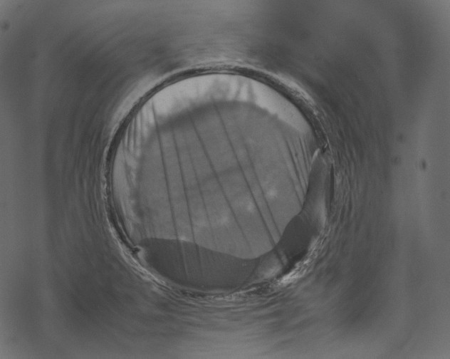 X0000067891279200605041543