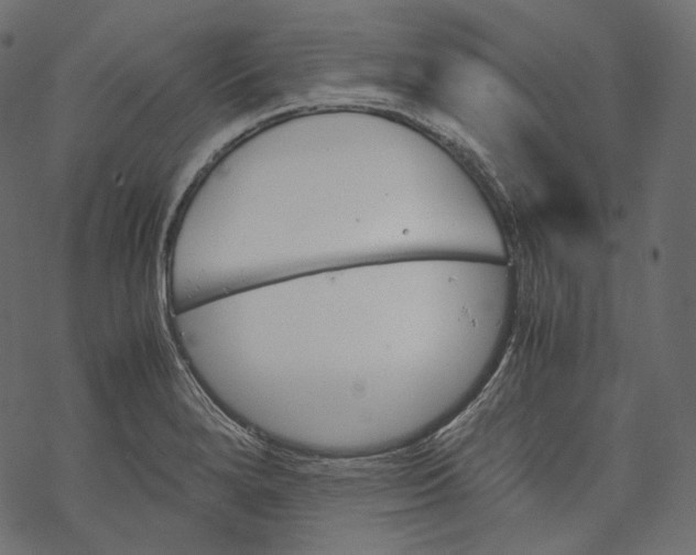 X0000067891280200605041543