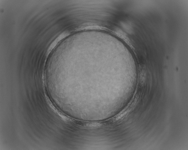 X0000067891282200605041543