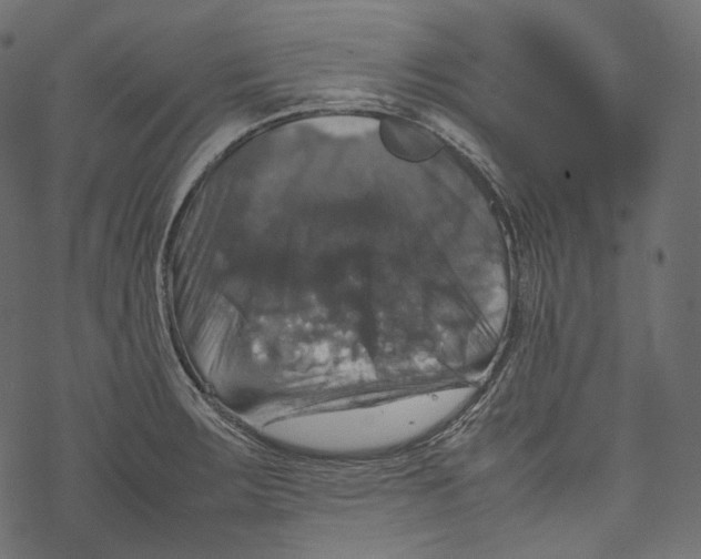 X0000067891283200605041543