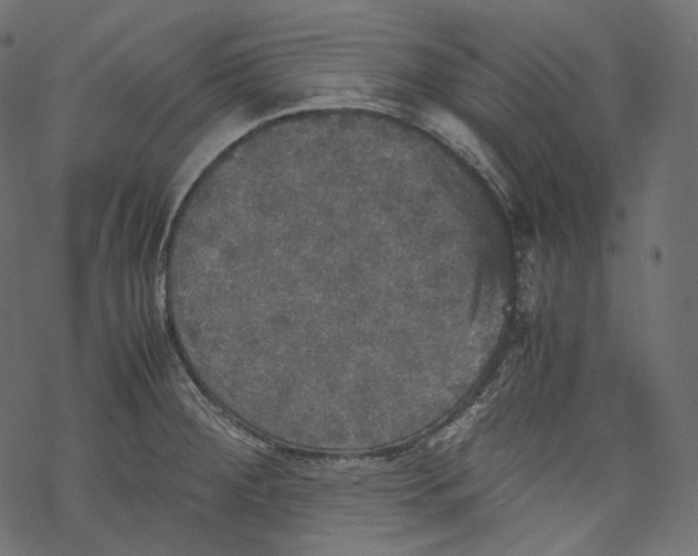 X0000067891284200605041543