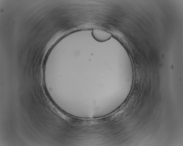 X0000067891286200605041543