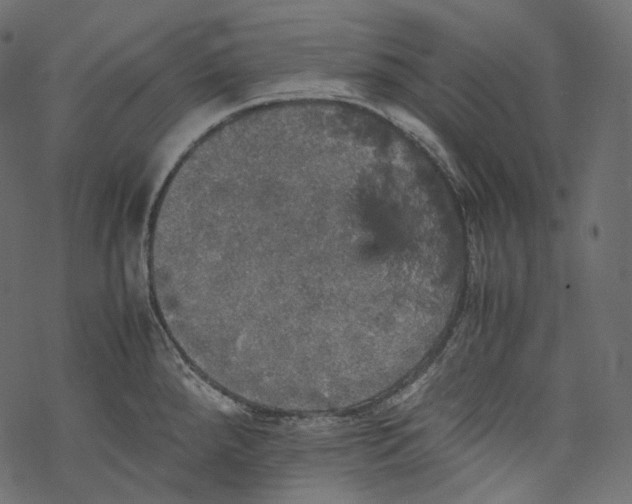 X0000067891288200605041543