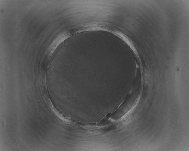 X0000067891289200605041543