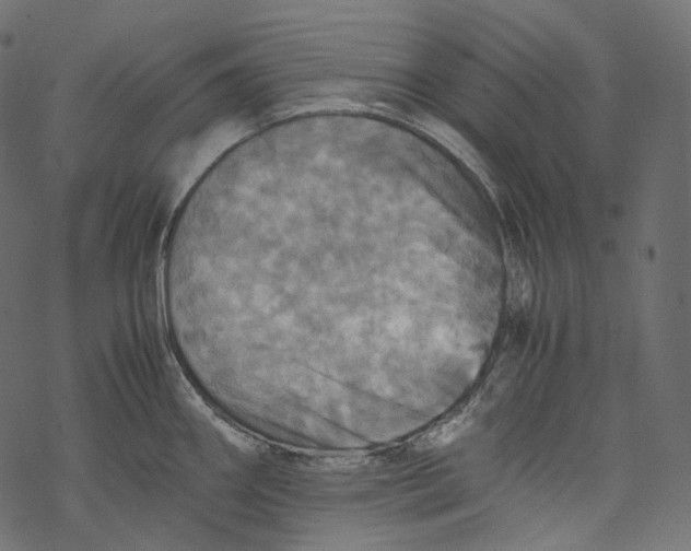 X0000067891290200605041543