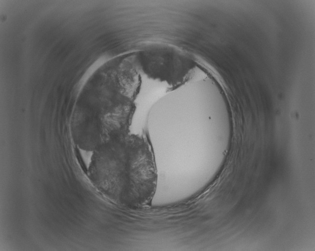 X0000067891291200605041543