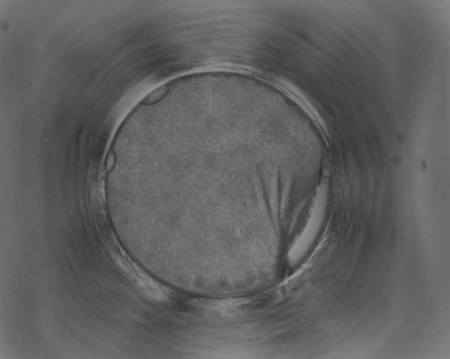 X0000067891292200605041543