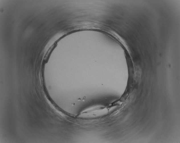 X0000067891293200605041543