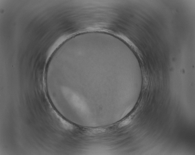 X0000067891294200605041543