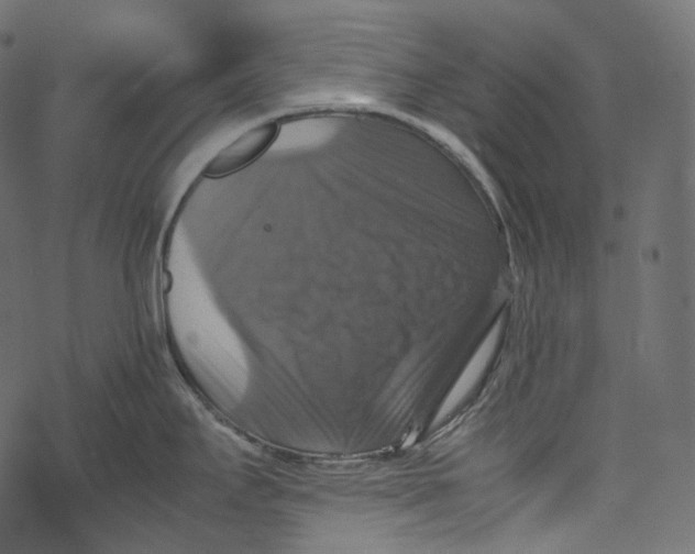 X0000067891295200605041543