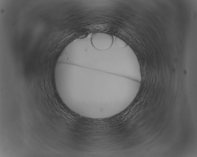 X0000067891297200605041542