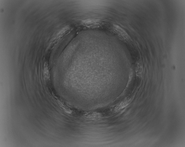 X0000067891298200605041542